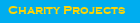 Charity Projects